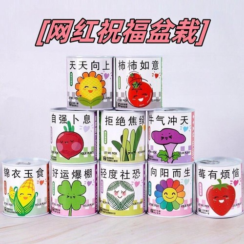 儿童迷你植物盆栽套|千人加购