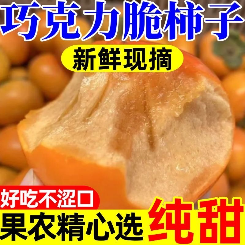 头茬脆柿子脆甜巧克力柿子甜脆柿无核冰糖心脆柿新鲜应季水果批发