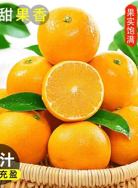 湖北秭归夏橙脐橙新鲜现摘香甜橙子孕妇水果春橙9斤产地应季大果