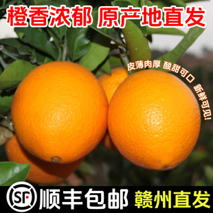 顺丰包邮 净重9.2斤正宗赣南脐橙江西赣州当季新鲜甜橙子水果直发
