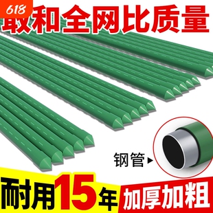 花架爬藤架葡萄黄瓜豆角架杆庭院种植月季种菜支撑杆植物棚架支架