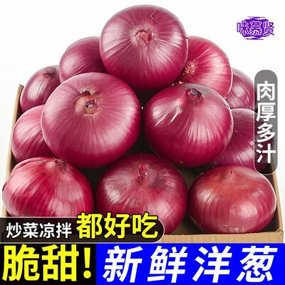 芭芭农场兑换紫皮洋葱5斤单果150g农家自种种植脆甜新鲜