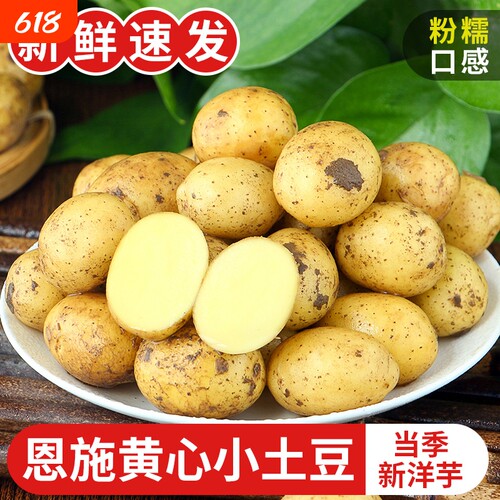 恩施高山小土豆当季现挖新鲜发货