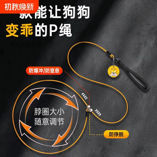 狗狗牵引绳防爆冲p绳小狗项圈狗链p链大型犬遛狗p字绳小型犬狗绳
