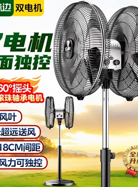林边双面双头落地扇360度旋转摇头工厂商用大功率工业风扇新款