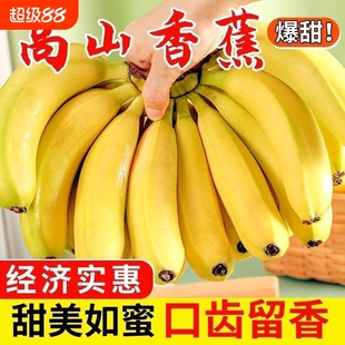 香蕉正宗云南高山威廉斯现摘新鲜需催熟自然熟大当季水果香甜