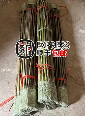 竹竿菜园搭架蔬菜黄瓜番茄豆角架