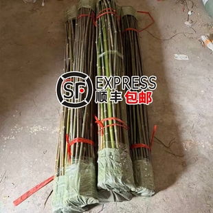 竹竿菜园搭架蔬菜黄瓜番茄豆角架杆竹篱笆小竹子细竹竿爬藤架围栏