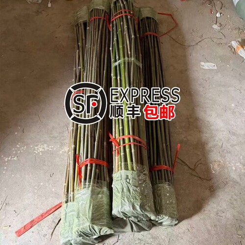 竹竿菜园搭架蔬菜黄瓜番茄豆角架