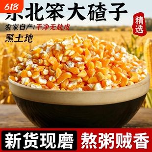 东北笨碴子25年粘白大碴子黏黄玉米碴粒糁茬五谷杂粮粥糯玉米散装