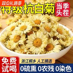 菊花茶正宗桐乡杭白菊官方旗舰店正品特级去火排清热毒菊花茶泡茶