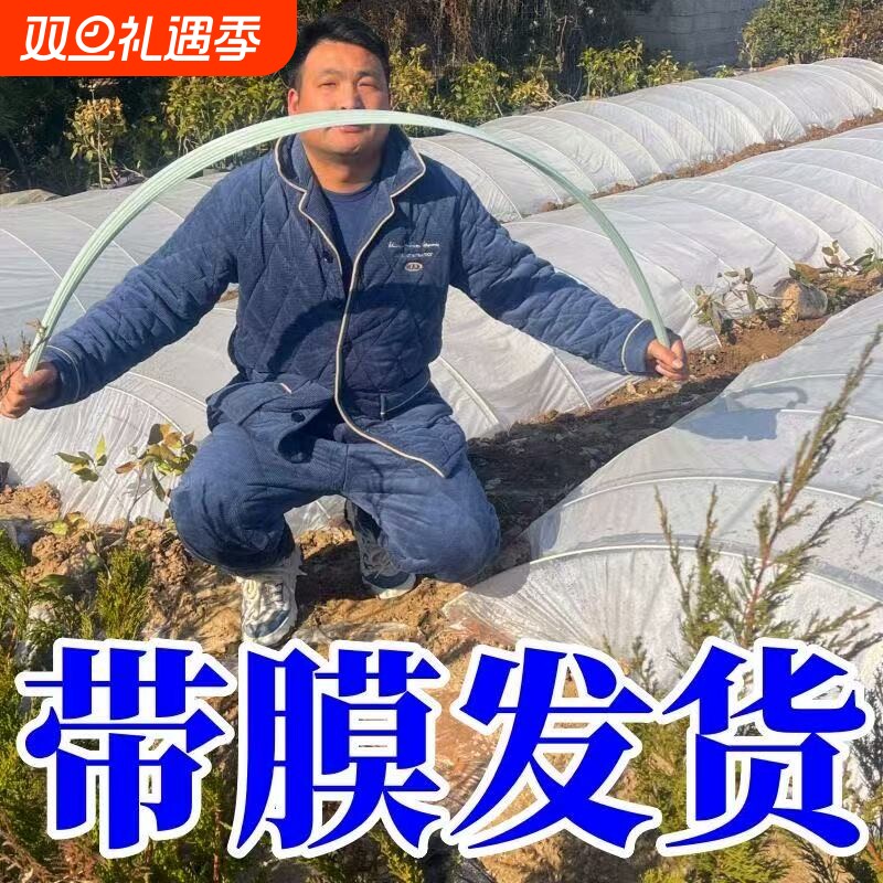【配大棚膜】拱棚支架玻璃纤维杆温室大棚支架玻璃钢拱棚支架农用