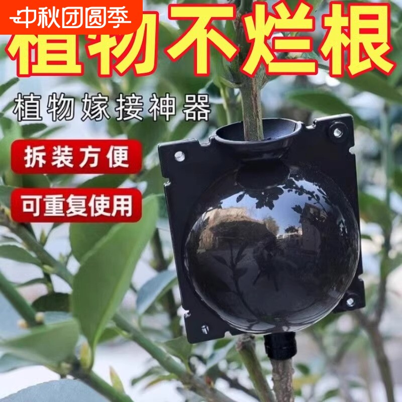 植物高压嫁接盒繁殖花卉果树控根神器扦插枝球生根育苗繁殖器树枝图片