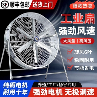 大功率工业扇风机工厂养殖通风机220V扬谷扇工业级吹风降温烧烤