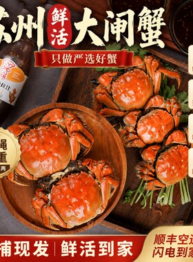 苏州阳澄精品大闸蟹鲜活螃蟹公4全母3两10只中秋高端礼盒装水产
