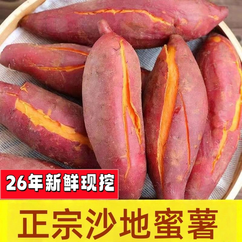 26年现挖板栗红薯蜜薯薯新鲜现挖地瓜山芋超甜粉糯软糯香甜可口