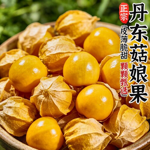 【爆款推荐】丹东菇娘果东北特产