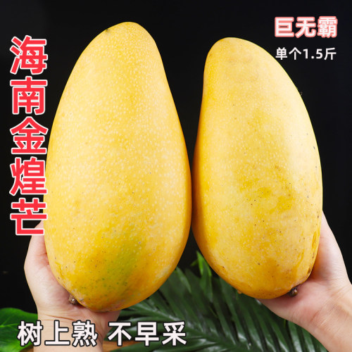 海南金煌芒果芒果新鲜大果整箱水果当季现摘斤甜心黄皮芒水仙芒