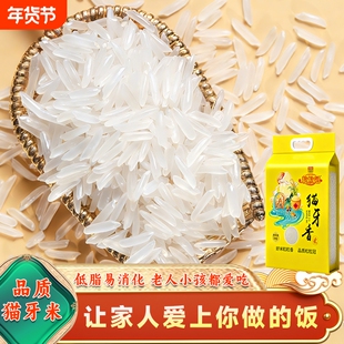 正宗猫牙米长粒香米大米当季新米农家稻香米丝苗米真空装10斤源头