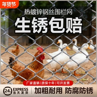 热镀锌铁丝网围栏网不锈钢丝网格家用防护栏网勾花网户外栅栏养殖