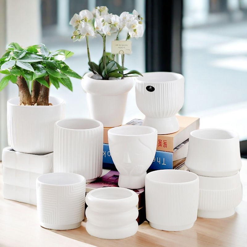 高颜值陶瓷花盆带托盘白色简约北欧ins风多肉花盆网红百搭家用盆,鲜花速递/花卉仿真/绿植园艺,花盆,淘宝优惠券,粉丝福利购,淘宝优惠卷