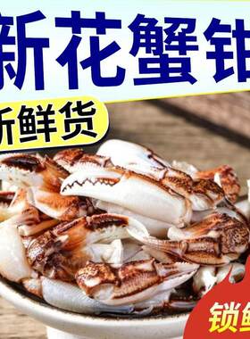 新鲜蟹钳商用蟹脚沙冻品麻辣小海鲜花生鲜蟹腿梭冷冻好吃水产