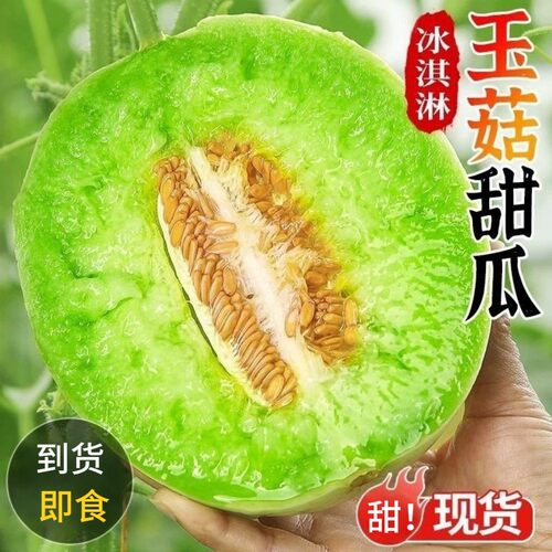 正宗玉菇甜瓜新鲜水果整箱包邮应当季蜜瓜香瓜脆甜斤10羊角翡翠
