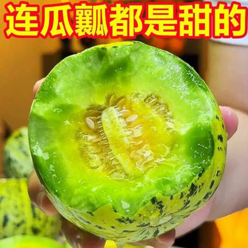 正宗山东八里香花美人甜瓜新鲜香瓜脆嫩当季水果整箱包邮绿宝脆甜