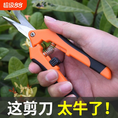 园林剪刀采果剪水果摘果剪手工小型花枝剪果子采摘省力修枝剪加长
