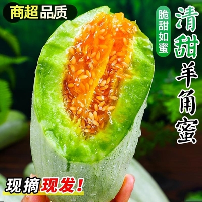 山东羊角蜜甜瓜新鲜水果10斤当季脆甜蜜瓜香瓜时令羊角脆整箱包邮