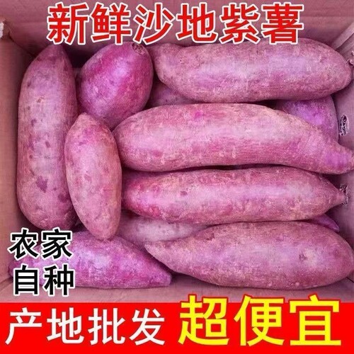 紫薯新鲜9斤装沙地紫红薯番薯地瓜蜜薯山芋烟薯香薯生鲜蔬菜农家