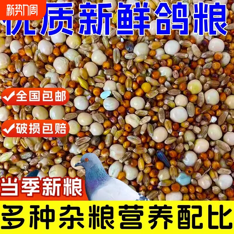 优质鸽粮玉米粮食鸟食饲料鸽子营养保健幼鸽成鸽肉鸽观赏鸽信鸽粮
