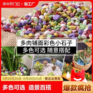 五彩石彩色小石头鹅卵石盆栽小石子多肉铺面石造景花盆装饰天然