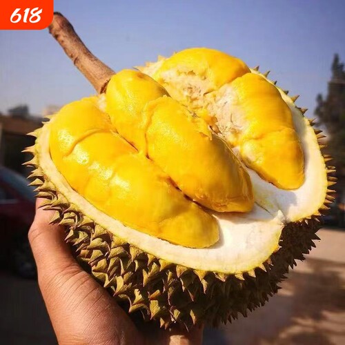 A＋级泰国金枕榴莲新鲜树熟猫山带壳一整个装浓郁顺丰包邮鲜果