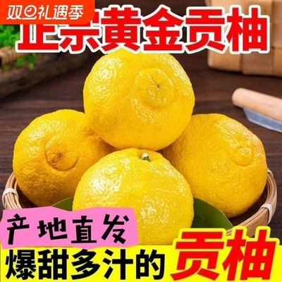 正宗洪江怀化黄金贡柚湖南雪峰山大果新鲜水果象山青手剥桔春香柚