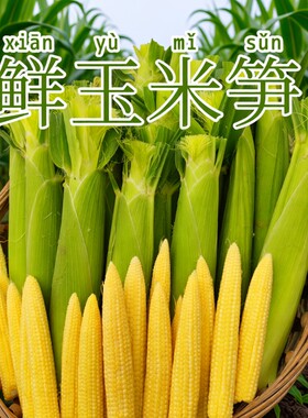 鲜果农产品现摘玉米笋