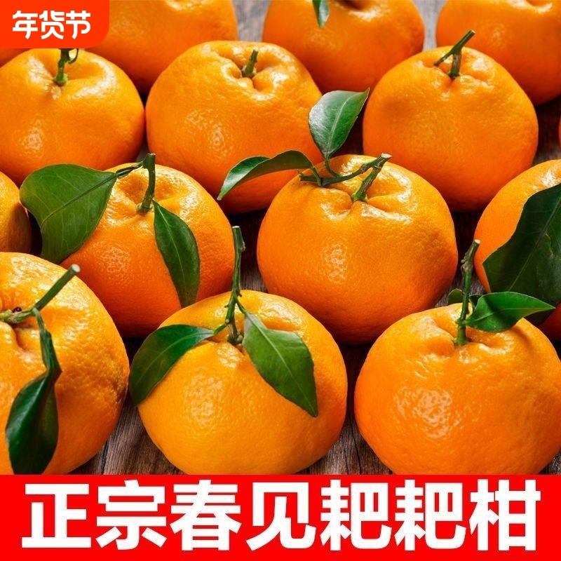 四川春见耙耙柑粑粑柑眉山丹棱橘子桔子孕妇新鲜水果年货节自提,水产肉类/新鲜蔬果/熟食,桔子,淘宝优惠券,粉丝福利购,淘宝优惠卷