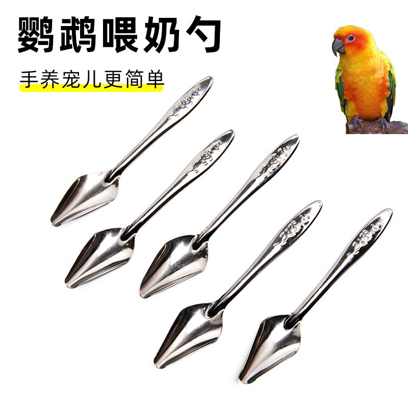 鹦鹉喂食器喂鸟虎皮八哥手养雏鸟喂奶勺子雏鸟幼鸟喂奶勺子玄凤