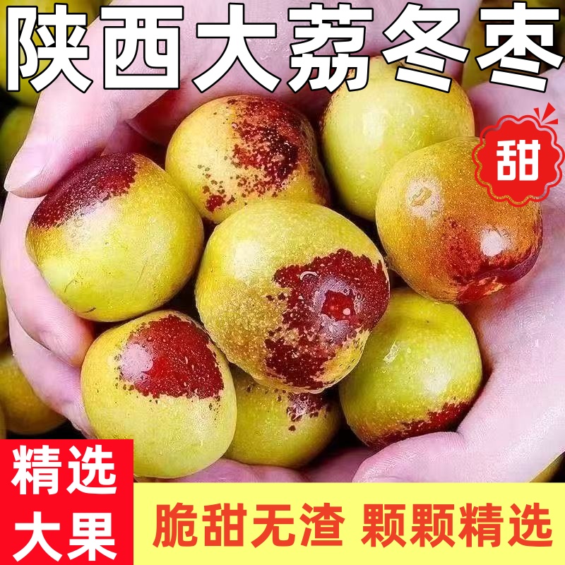 陕西大荔冬枣新鲜大果应季整箱枣子青枣脆枣冰糖大枣5斤当季水果