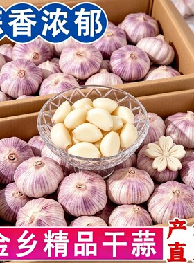 【超低价】当季金乡紫皮大蒜新干蒜正宗山东紫白皮农家批发便宜