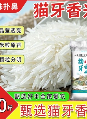 一级米晚稻新米广西正宗长粒香米农家丝苗米米象牙米大米现磨籼米