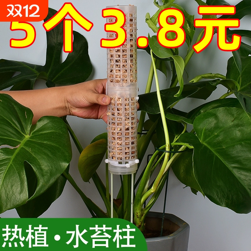 捡漏价加厚水苔柱绿萝柱椰棕棒植物攀爬柱拼接龟背竹透气管营养液