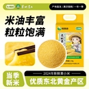 东北农家黄小米2.5KG黍米五谷杂粮新糯小米黄米正品 粘米粥优质