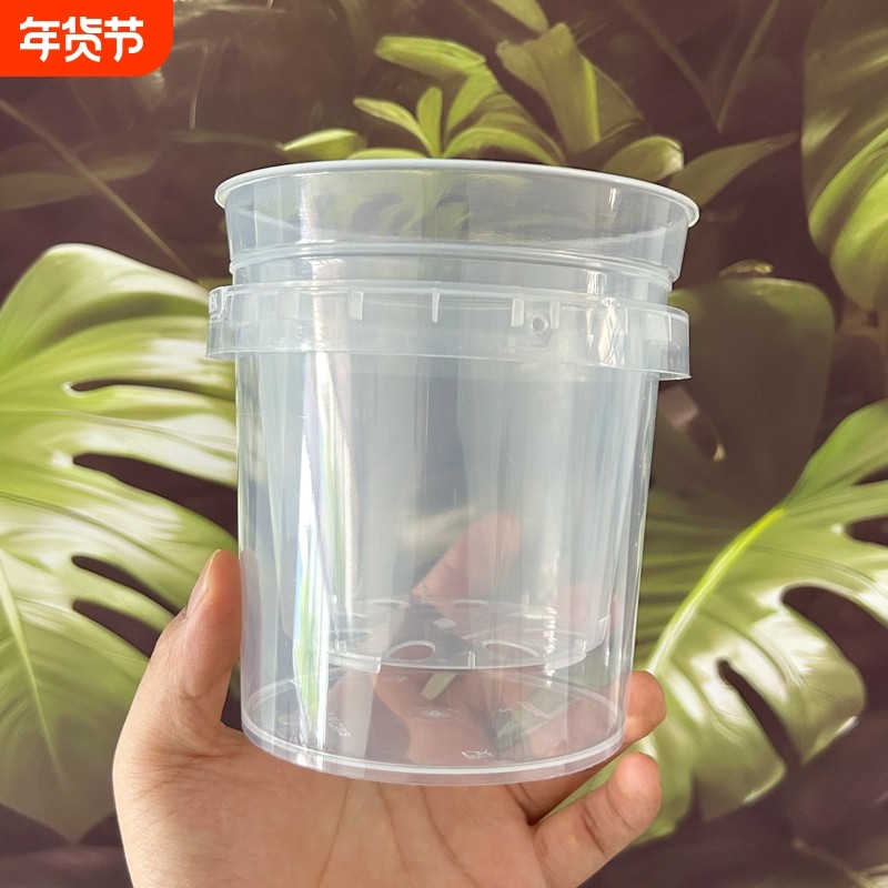 塑料花盆半透气外盆蝴蝶兰花套盆控根家用高透明水培镂空石斛花盆,鲜花速递/花卉仿真/绿植园艺,花盆,淘宝优惠券,粉丝福利购,淘宝优惠卷