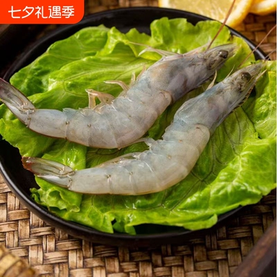 鲜活速冻大虾单冻白虾大虾生鲜盐冻鲜活冷冻大虾白对虾海鲜水产