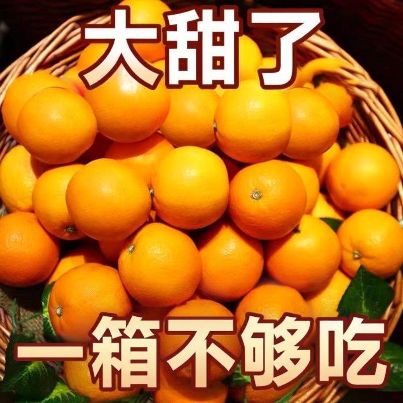湖南麻阳冰糖橙当季新鲜水果甜橙子爆甜多汁批发包邮5/9斤大果