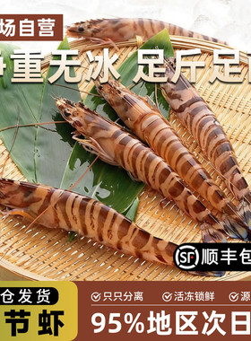 活冻斑节虾竹节虾花虾500g/盒