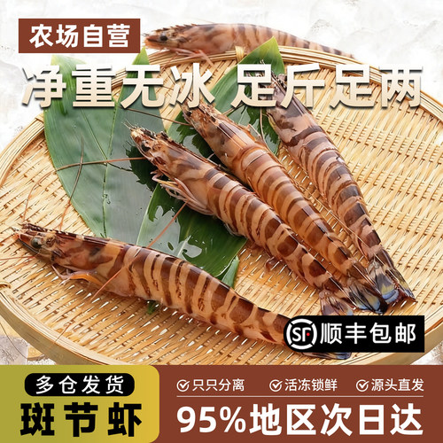 活冻斑节虾竹节虾花虾500g/盒