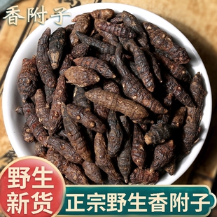 野生香附子中药材官方旗舰店香附粉香附片紫皮香附片雷公头制香附