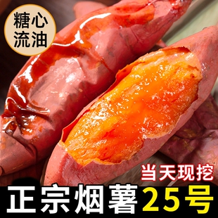 正宗烟薯25号新鲜农家自种沙地板栗红薯5黄心斤蜜薯番薯烤地瓜10